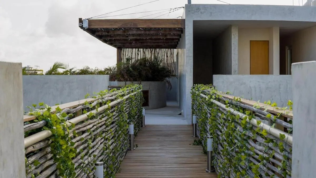 Colibri Loft Beach Club Pass Tulum 0*,